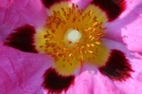 /album/galerie-photos/a2006-05-055-jpg/